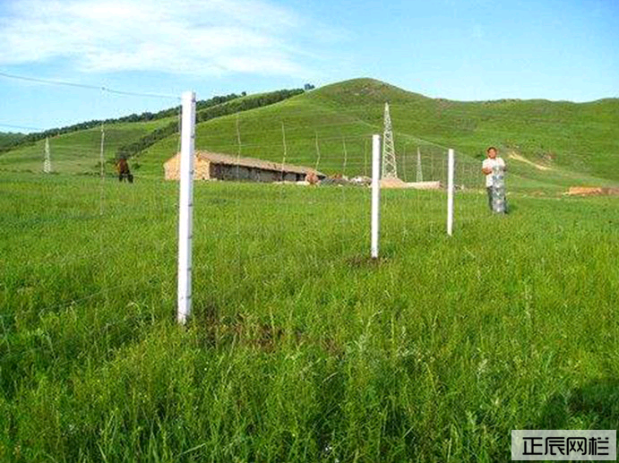 1645922148899639.png ed33993995794269b9128c625a0fbc23.png