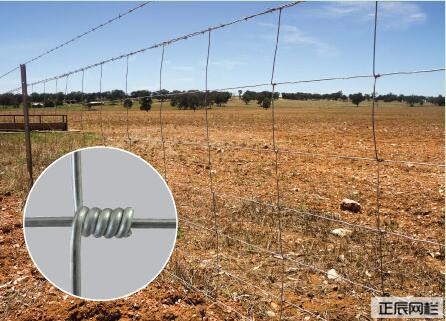 1646268529209397.jpg 1-1F330114542441.jpg