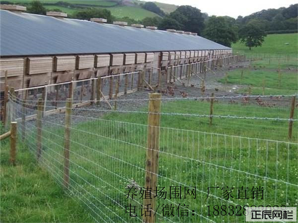 牧場圍欄網