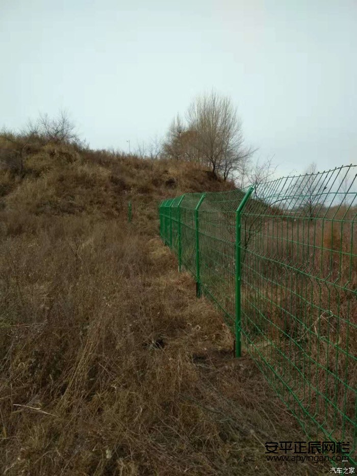 1657073009392652.jpg 970_ChsEflv2lY-AKITyAAJopptVqyw485.jpg