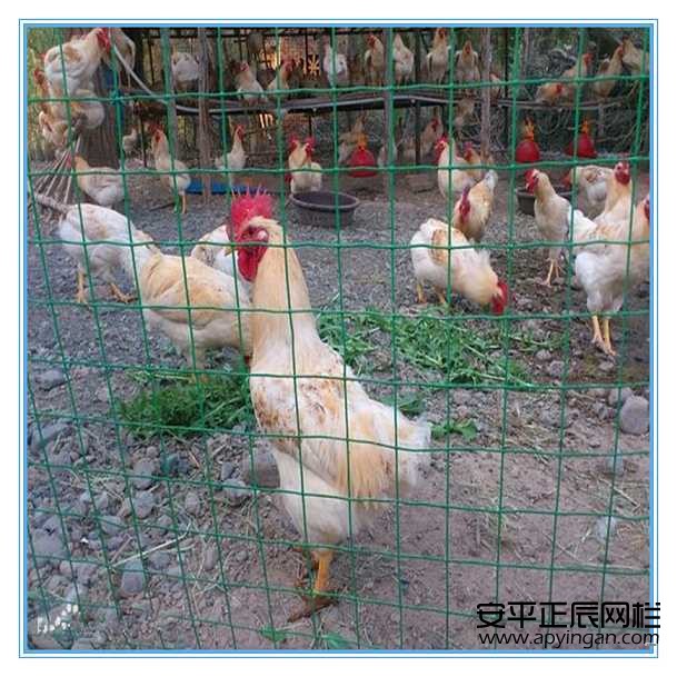 1657154703199507.jpg u=3219789052,2394018451&fm=214&gp=0.jpg