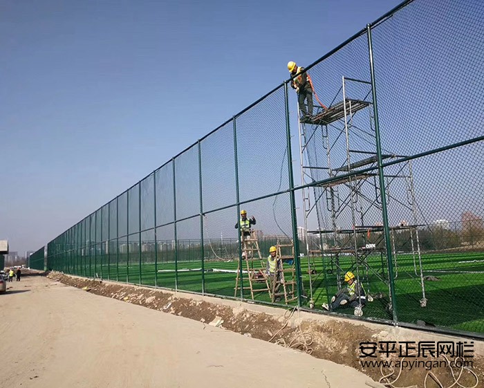 1660007017211473.jpg 1-1Z3141321360-L.jpg