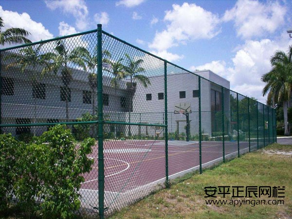 運(yùn)動場圍網(wǎng)