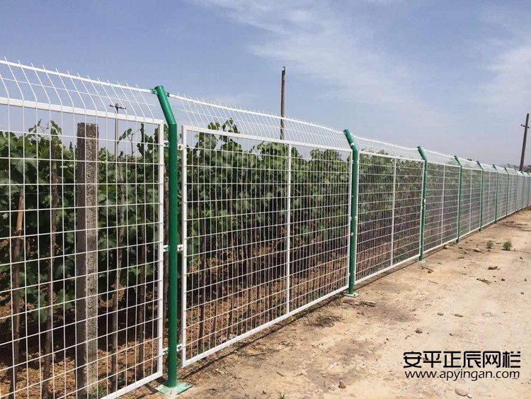 隔離護(hù)欄網(wǎng)廠家