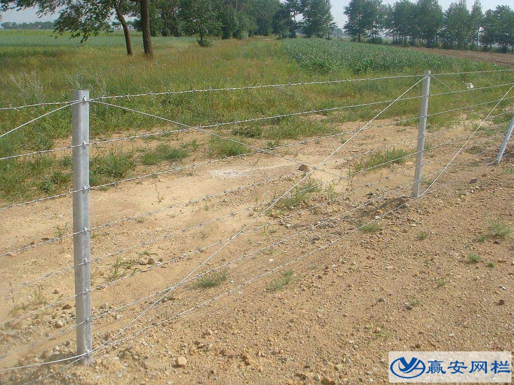 公路護欄網(wǎng)