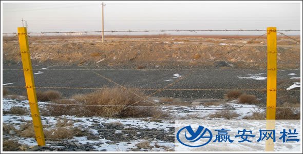 刺繩公路護(hù)欄網(wǎng)