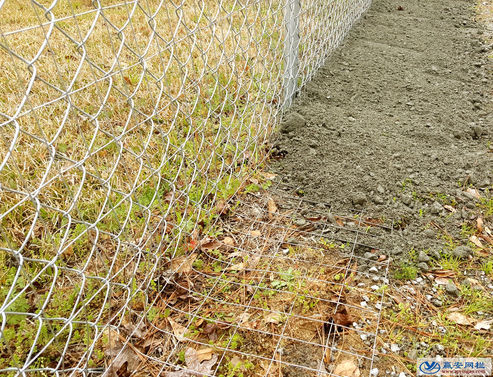 雙層護(hù)欄網(wǎng)