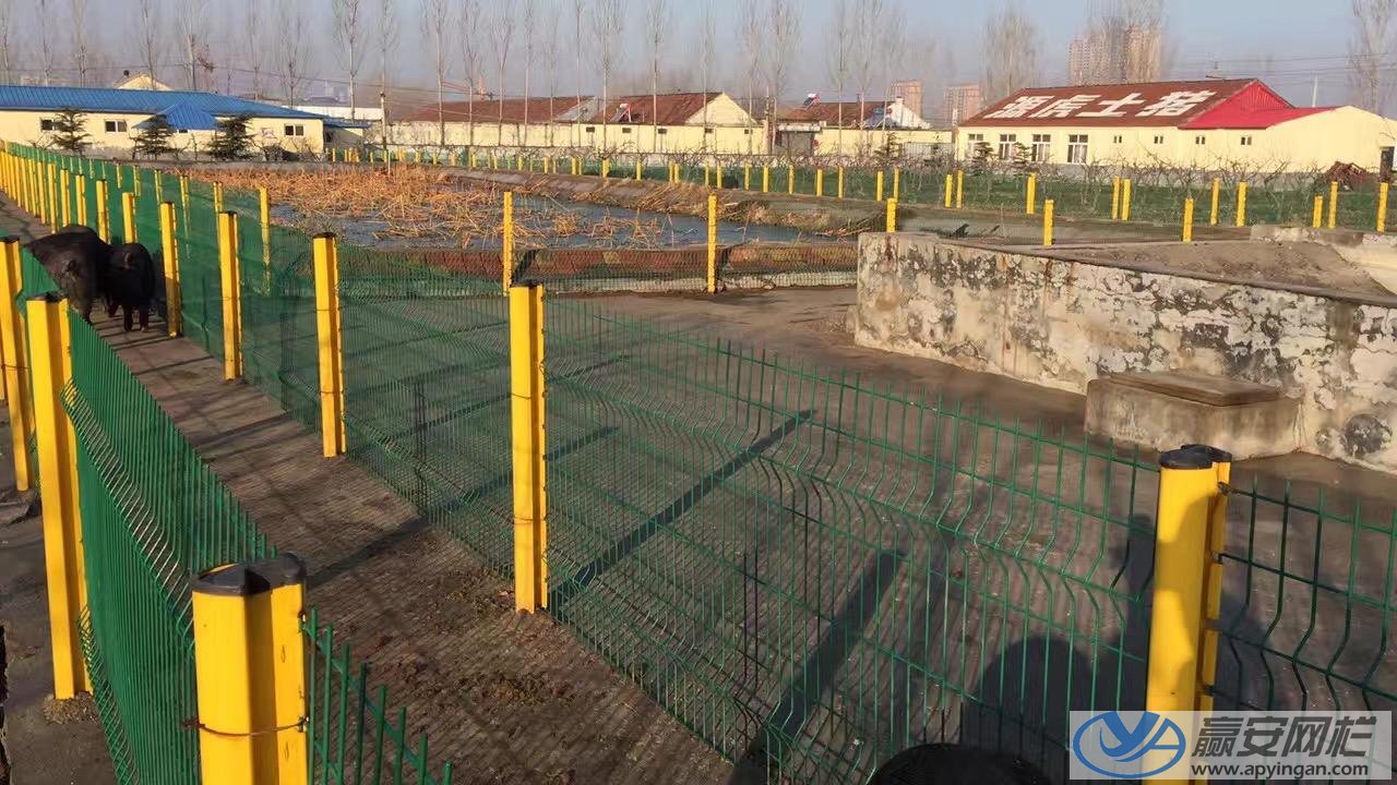 三角折彎式養殖圍欄網 養殖圍欄網