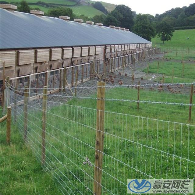 養羊圍欄