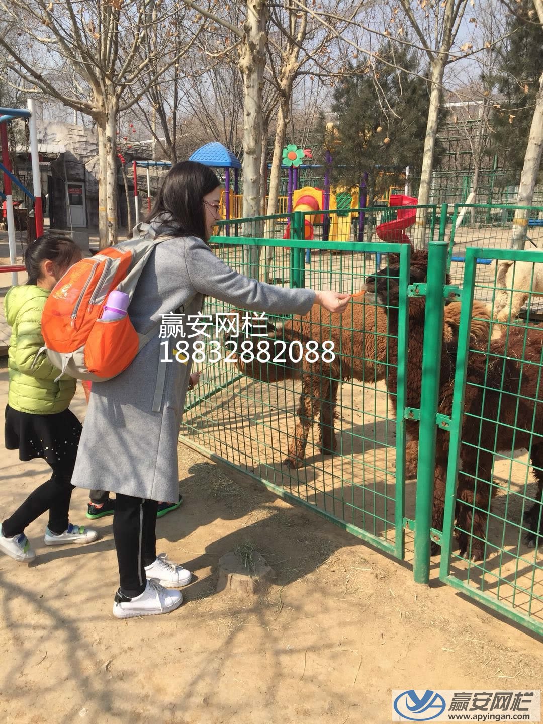 框架護欄網(wǎng) 框架護欄網(wǎng)