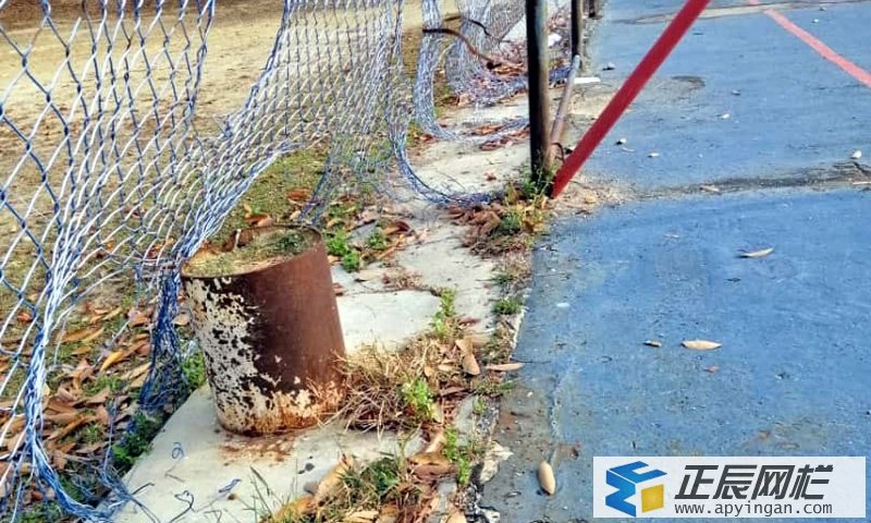 體育場圍網 體育場圍網