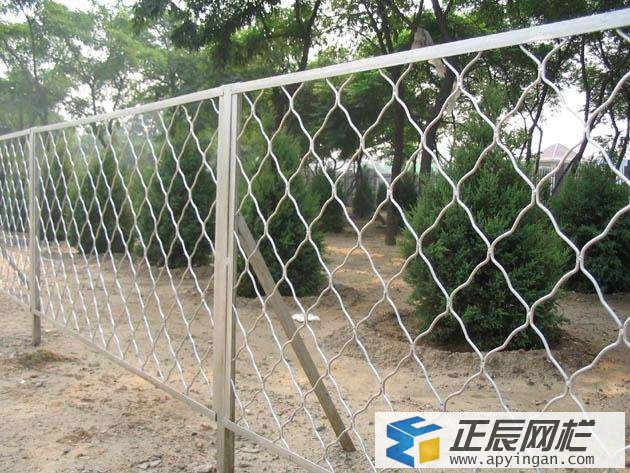 養(yǎng)羊護(hù)欄網(wǎng)