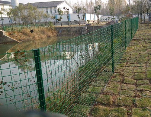 養(yǎng)羊護(hù)欄網(wǎng)