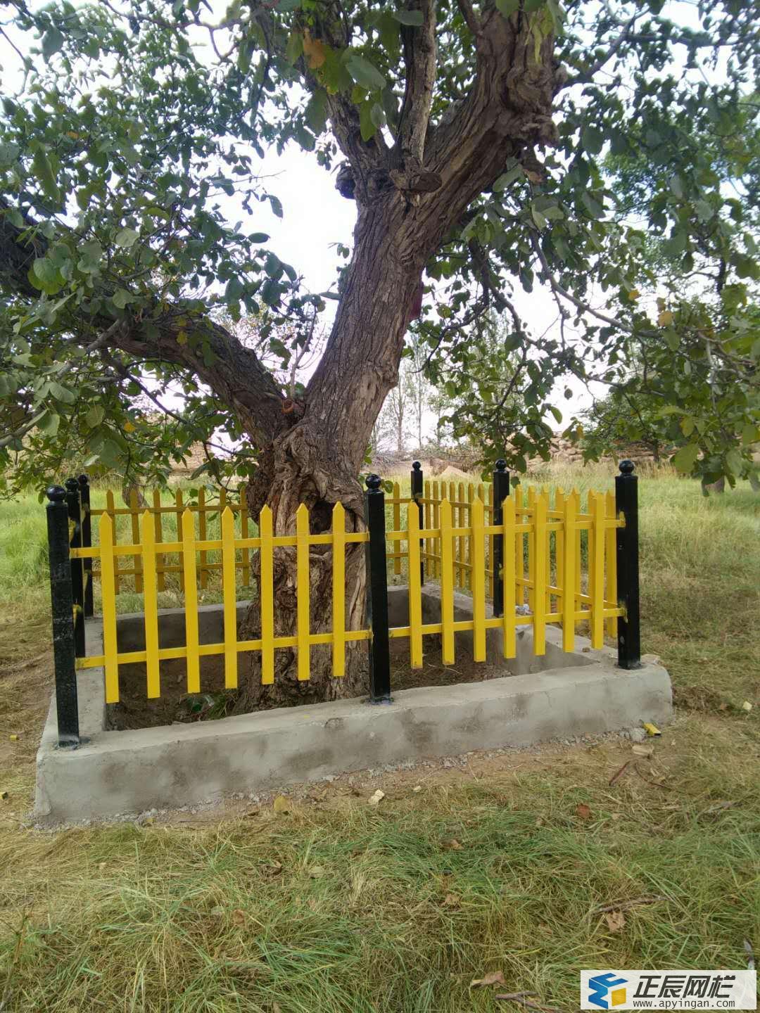 樹木護欄