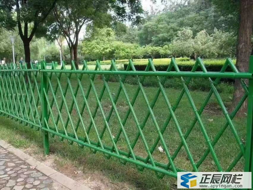 綠色隔離網圖片