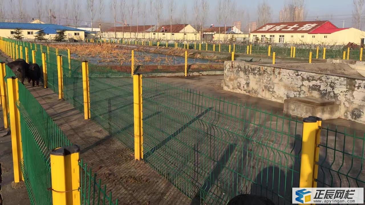 養(yǎng)豬場護(hù)欄網(wǎng) 護(hù)欄網(wǎng)價(jià)格