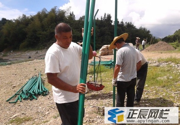 護(hù)欄網(wǎng)安裝