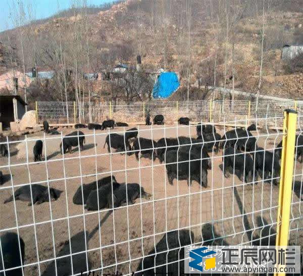 牛羊圍欄網(wǎng)