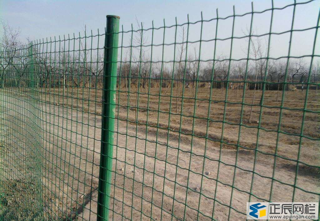 果園護(hù)欄網(wǎng)