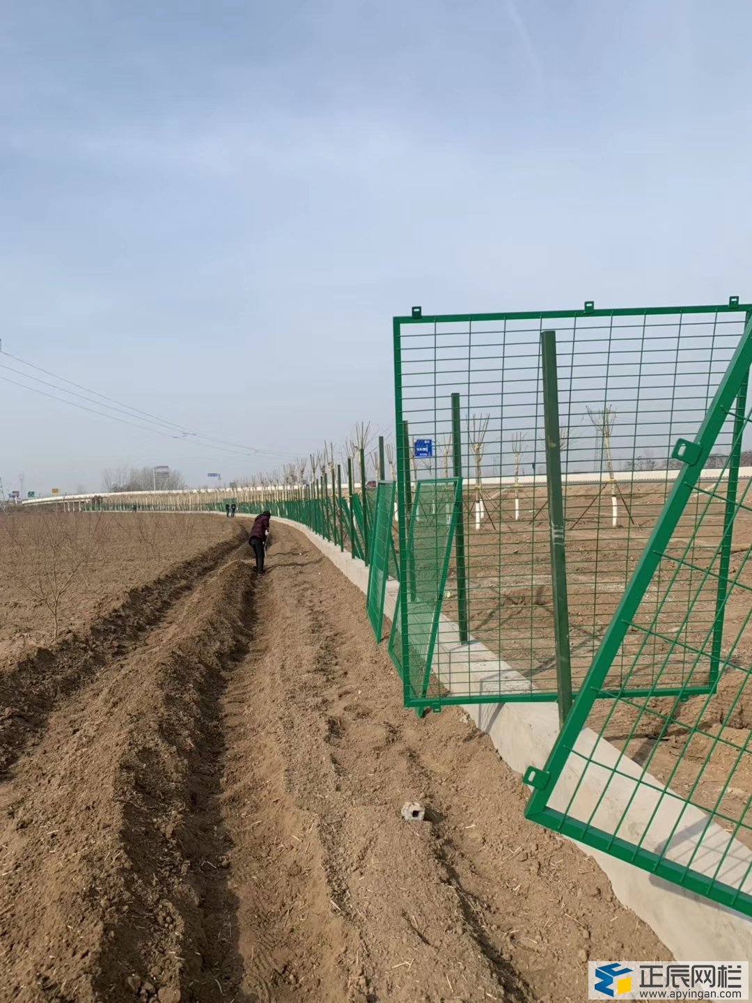 護(hù)欄網(wǎng)