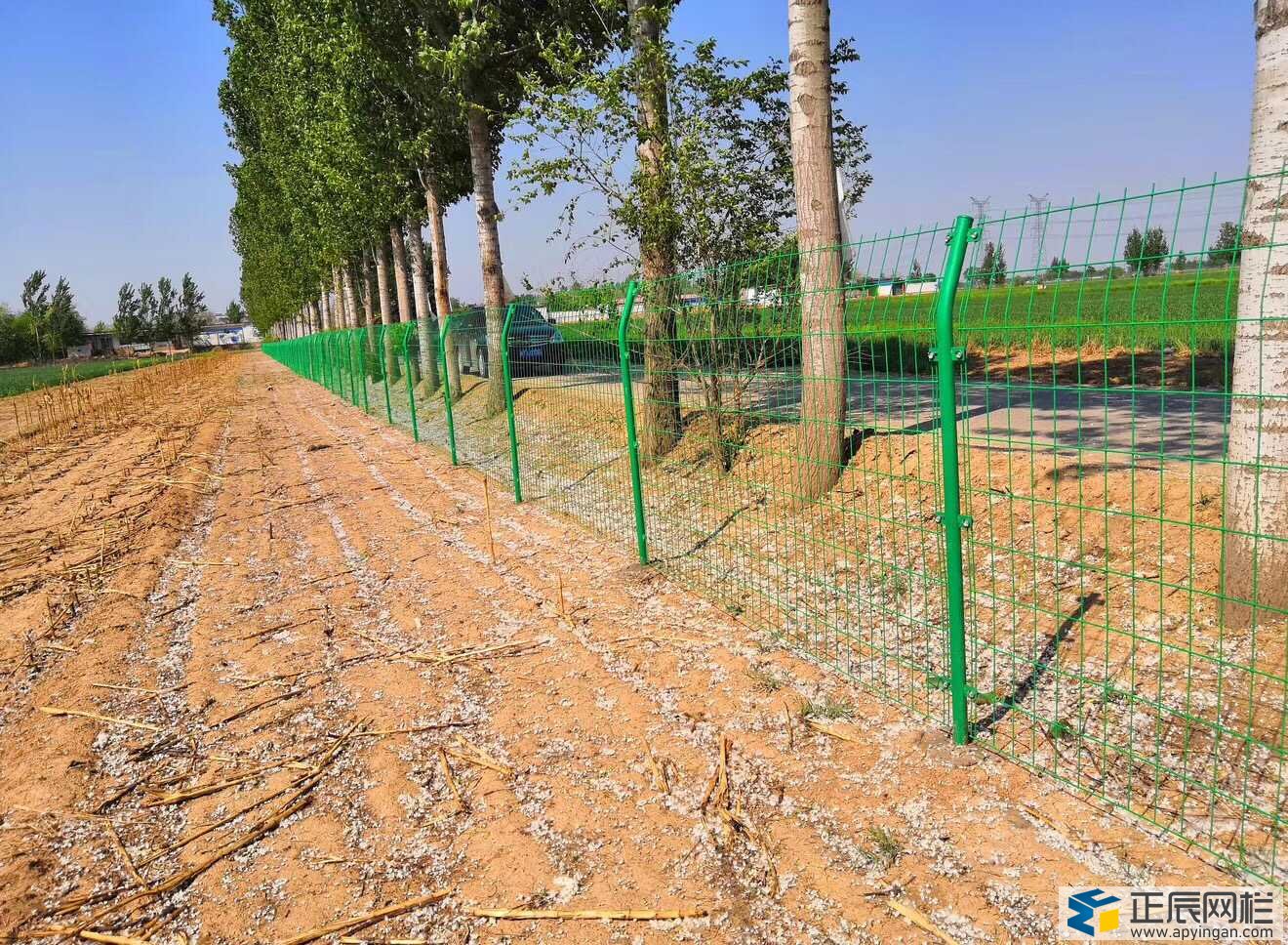 雙邊絲護欄網多少錢