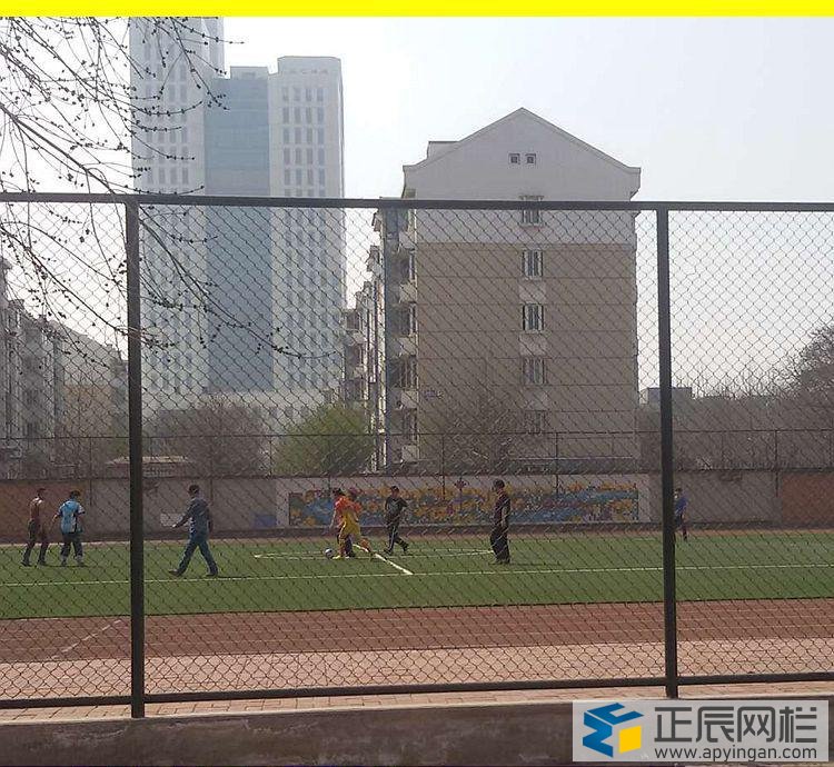 勾花護(hù)欄網(wǎng)在校園