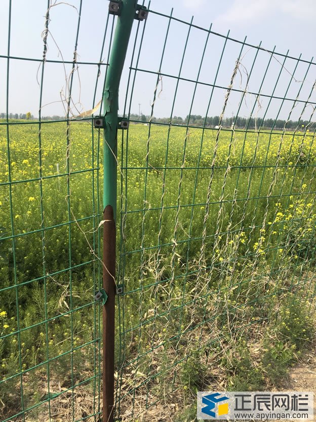 護(hù)欄網(wǎng)表皮脫落