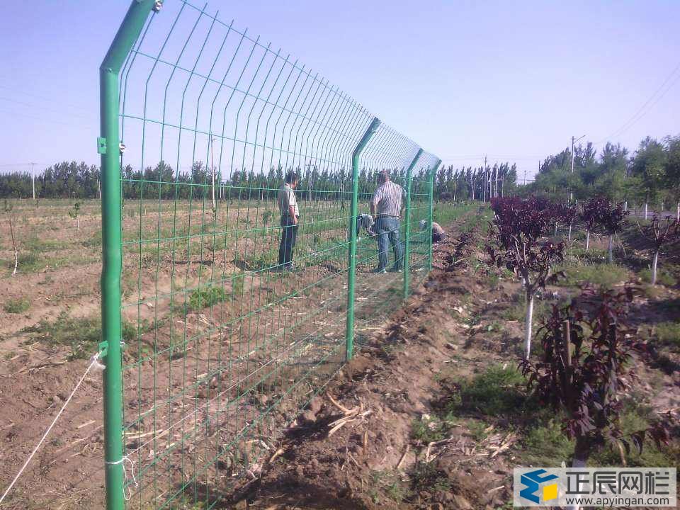 圍欄網(wǎng)片價格