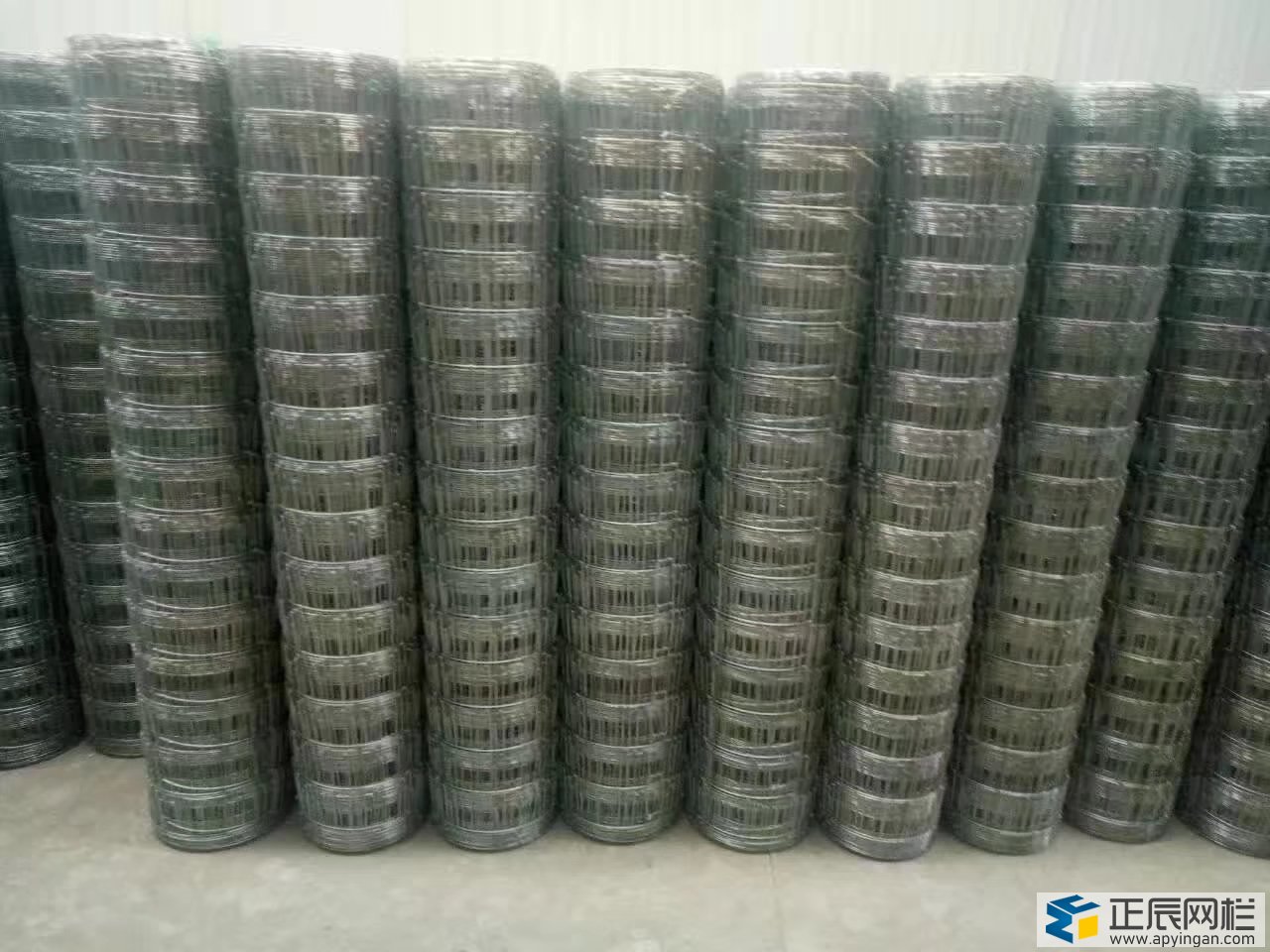 護欄網廠家現貨供應