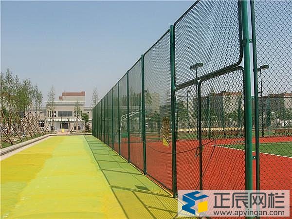 標準籃球場圍網