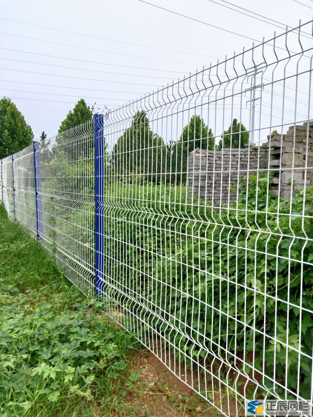 山東桃型柱護欄網