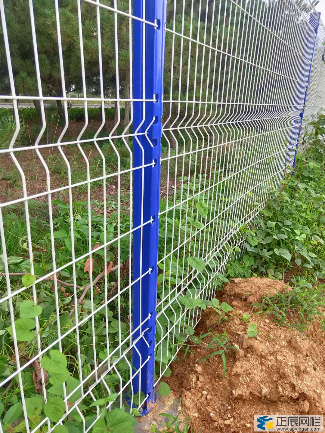 山東桃型柱護欄網