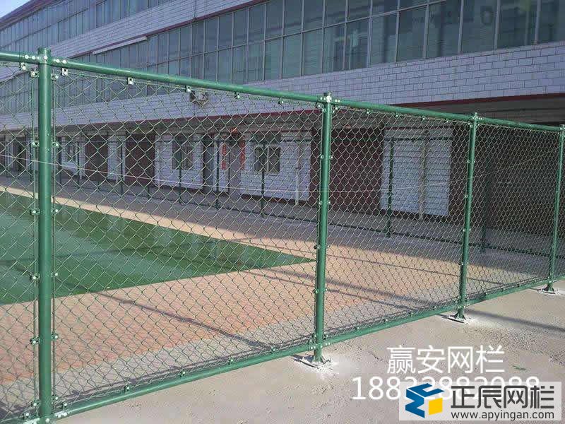 中小學(xué)校園護欄網(wǎng)