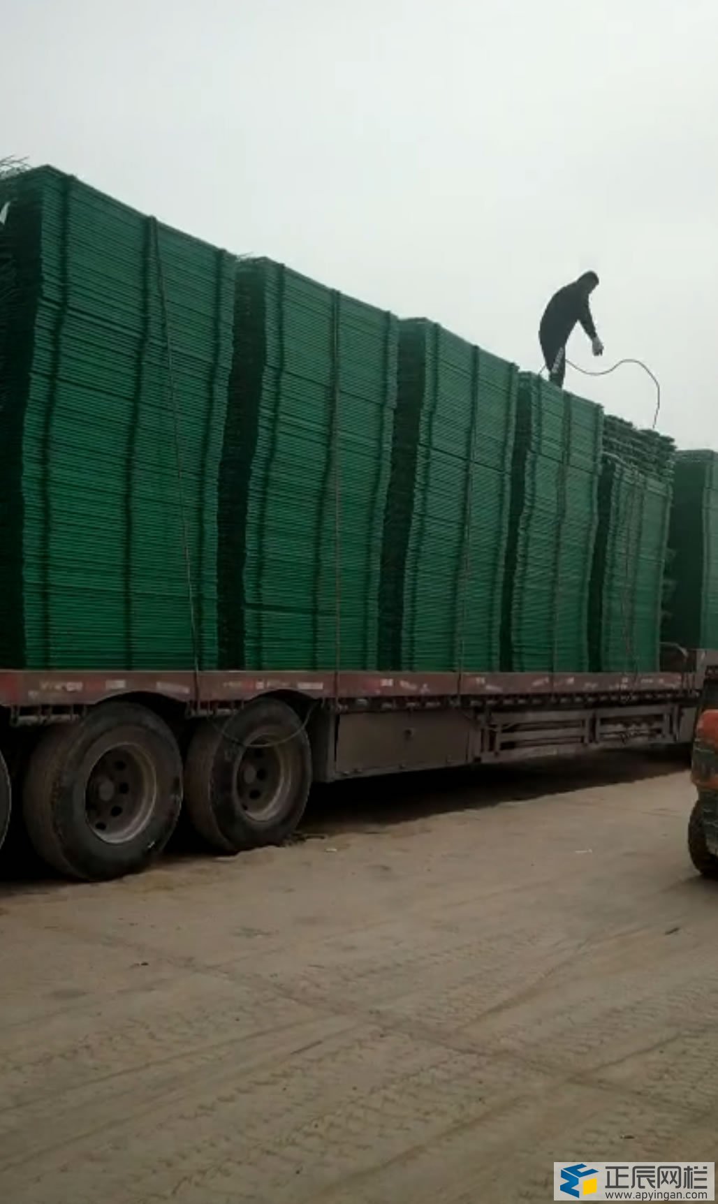 公路隔離柵護欄網