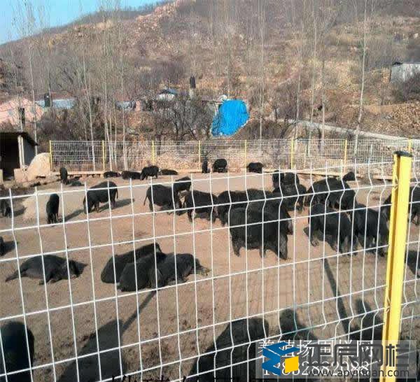 養殖圍欄網價錢